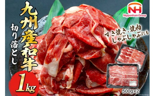 牛肉 訳あり 日本ハム 九州産 和牛 切り落とし 500g 2p 計 1kg [日本ハムマーケティング 宮崎県 日向市 452061137] 冷凍 小分け 個包装 牛 すき焼き もも肉 モモ肉 牛バラ 牛肩