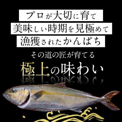 ふるさと納税 延岡市 宮崎産 宮崎ゴールドかんぱち 500g(冷凍) |  | 02