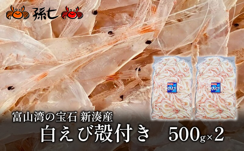 
[№5683-0443]【数量限定】白えび殻付き500g×2
