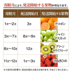 産地厳選三豊のフルーツ４回定期便　G_M64-0069