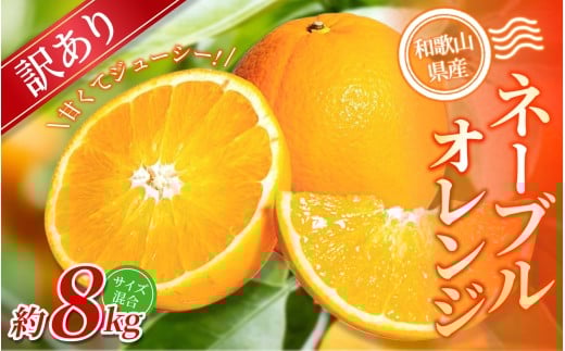 【訳あり】 森本農園の手選別ネーブルオレンジ 約8kg 和歌山県産 サイズ混合 【北海道・沖縄・離島配送不可】【2026年1月上旬～2月中旬頃に順次発送】