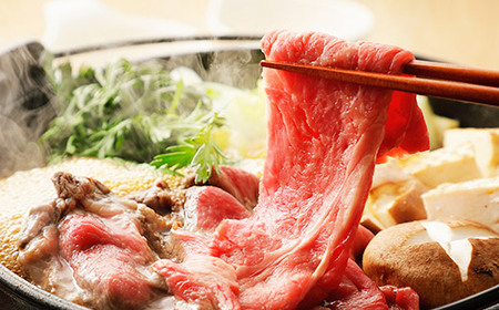 【極上 丹波篠山牛】 特選赤身 すき焼き肉 （ 500g 2~3人前 ） すき焼き AB07