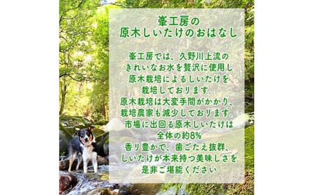 ご飯のお供に。おかず６個レギュラーセット【 家庭用 自宅用 贈答品 贈答用 ギフト お取り寄せ お中元 お歳暮 贈り物 お祝い 神奈川県 小田原市 】