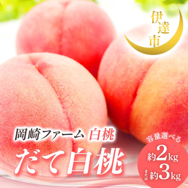 【ふるさと納税】＼選べる容量／【2026年出荷分先行予約】福島県産 だて白桃 約2kg 約3kg 岡崎ファーム 贈り物 贈答 ギフト 伊達の桃 桃 フルーツ 果物 もも モモ momo F21C-007var