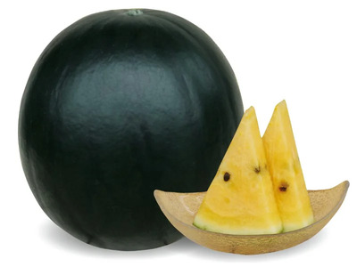 信州波田産 高級 黒玉スイカ！信州の涼味 【贈答】 2L～3Lサイズ 1玉｜ふるさと納税 長野県 信州 松本 果物 フルーツ すいか スイカ 西瓜 贈答 季節限定 甘い くだもの ふるーつ