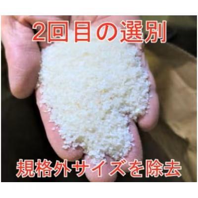 ふるさと納税 大仙市 【毎月定期便】全5回5kg(5kg×1袋)大手有名百貨店出荷米あきたこまち【令和7年産】全5回 |  | 01