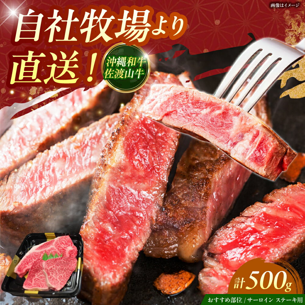 【ふるさと納税】【数量限定】沖縄和牛 佐渡山牛 サーロイン＆希少部位 ステーキ肉 500g 牛肉 和牛 サーロインステーキ 焼肉 赤身 沖縄市 / 肉のサブロー[BCBC004]