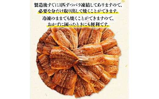 干物 いわし あじ みりん干し セット 鰯 鯵 ひもの 詰め合わせ 各 500g 計 1kg 1キロ 10000円 魚 魚介 一万円 食べ比べ 切り身 おつまみ おかず 人気 冷凍 国産 ランキング 