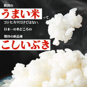 米 こしいぶき 20kg 【令和7年産 】 新潟県 新発田市 toushin040_02