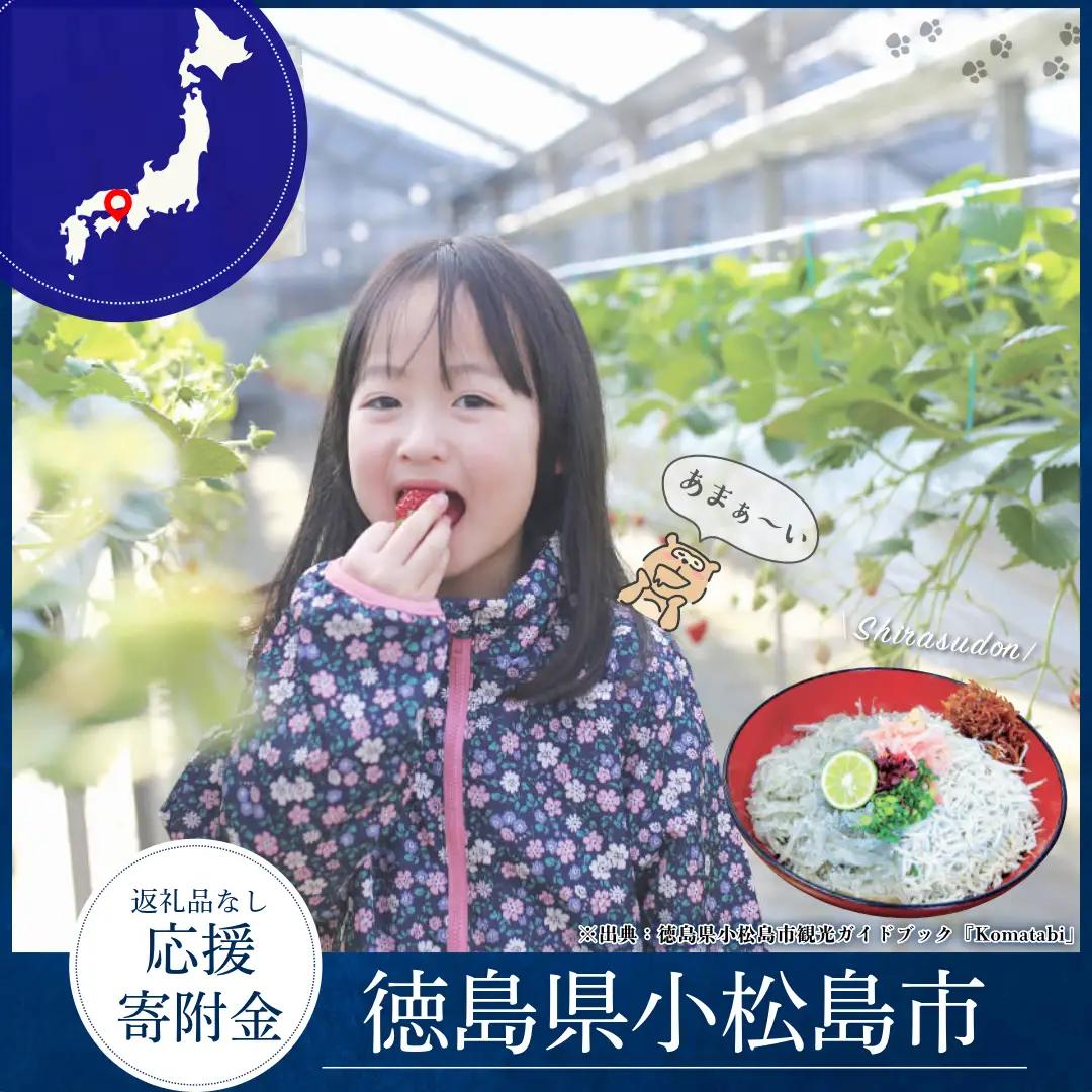 徳島県小松島市 【 返礼品なしの寄附】1,000円 返礼品なし