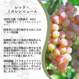 ワイン 岩の原ワイン レッド・ミルレンニューム 2本 720ml 希少ぶどう品種 甘口 お酒 希少 ぶどう 岩の原 新潟 上越 最短3日で発送 お届け：7日以内にお届けします。