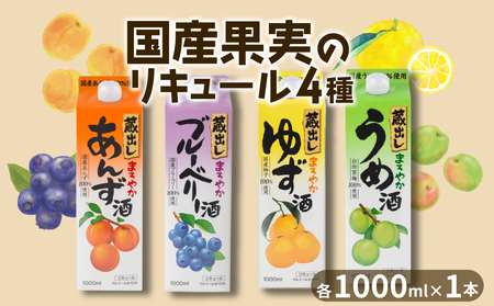 果実 リキュール 4本セット 酒 （梅・ゆず・ブルーベリー・あんず） 果実酒 リキュール 酒 東亜酒造