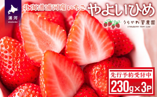 
            【先行予約受付中】北海道浦河産いちご「やよいひめ」230g×3P[13-883]
          