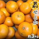 【ふるさと納税】《訳あり》 せとか 3kg 甘い みかん （ 訳アリ お取り寄せ 美味しい せとかみかん せとかふるさと納税 7000円 果物 くだもの 季節限定 柑橘 蜜柑 かんきつ おすすめ フルーツ 青果 特産品 ）　【 香川県観音寺市 】　お届け：2024年2月上旬～3月上旬