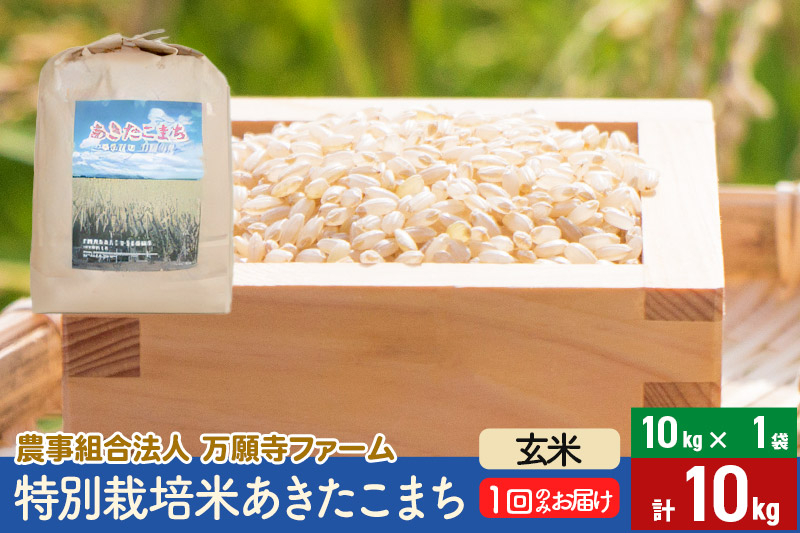 
            【玄米】令和6年産 特別栽培米あきたこまち 10kg（10kg×1袋）
          