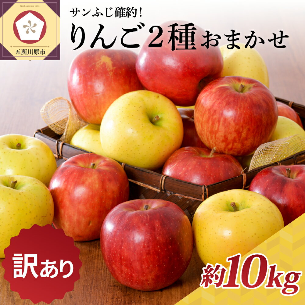 【ふるさと納税】★レビュー高評価★【 訳あり 】 りんご 2種 おまかせ 約10kg サンふじ確約 青森産 ( 配送時期が選べる 11月～3月 ) 秋 旬 フルーツ 青森県 五所川原市