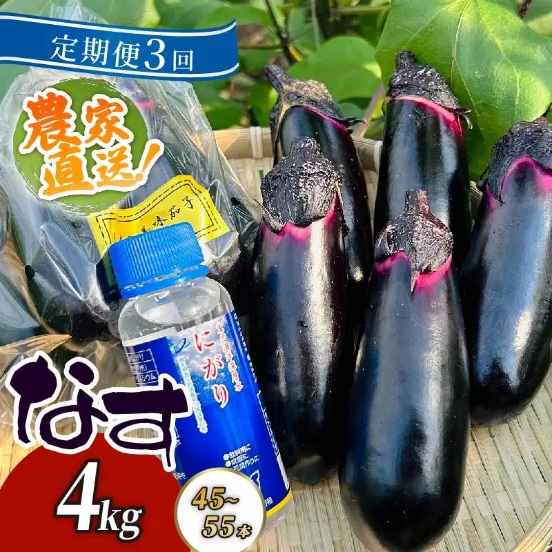 【定期便3回発送】農家直送　土佐の美味茄子の新鮮ナス　４kg　（室戸海洋深層水にがり使用） 野菜 なす ナス 常温 小袋 国産 夏野菜 茄子 小分け 旬 40500円 高知 頒布会