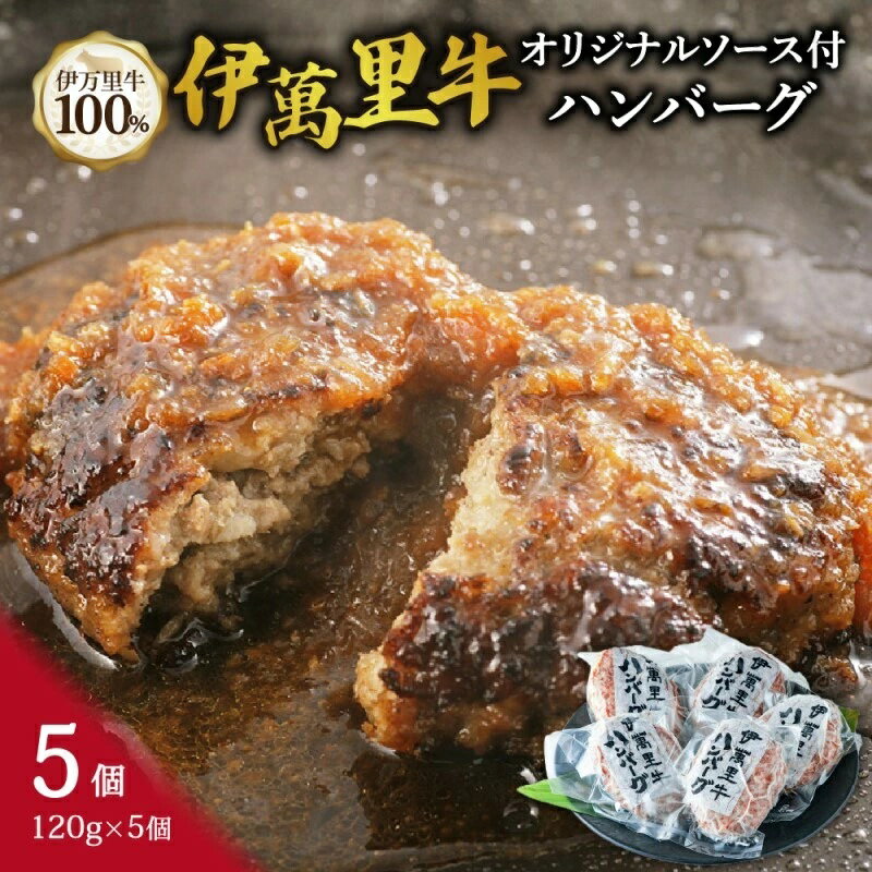 【ふるさと納税】伊万里牛ハンバーグ 120g×5個(合計600g) 卵・牛乳不使用 007-J1771
