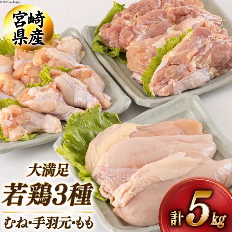 若鶏 むね 手羽元 もも 合計5kg 1kg包装 [アグリ産業匠泰 宮崎県 美郷町 31be0045]