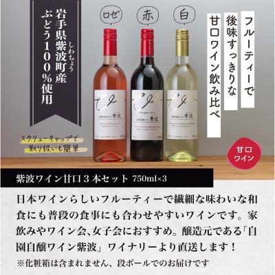 ふるさと納税 紫波町 【自園自醸ワイン紫波】人気ワイン飲み比べ 甘口ワイン3本セット |  | 03