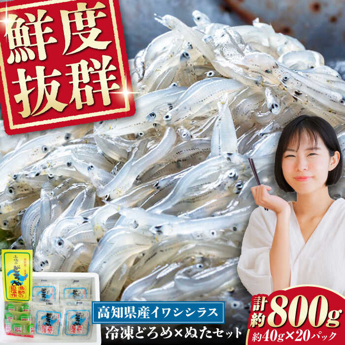 【ふるさと納税】【最速発送】冷凍 生しらす（どろめ）約40g×20パック（ぬた付き）/真空パック イワシ シラス 魚 どろめ ぬた 冷凍 高知【春野町漁業協同組合】[ATGA001]　スピード 最短 最速 発送