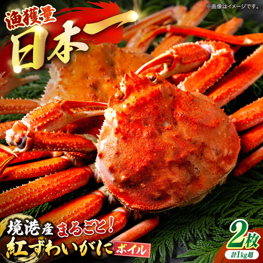 【ふるさと納税】境港の漁師が厳選！山陰産紅ずわいがに姿×2枚 島根県松江市/株式会社漁師村[ALDN004]｜ 冷蔵 ボイル済み 厳選 新鮮 山陰沖 かに カニ 蟹 紅ずわい ズワイガニ 魚 海産 贈物 高級 蟹味噌 海鮮 26000 26000円
