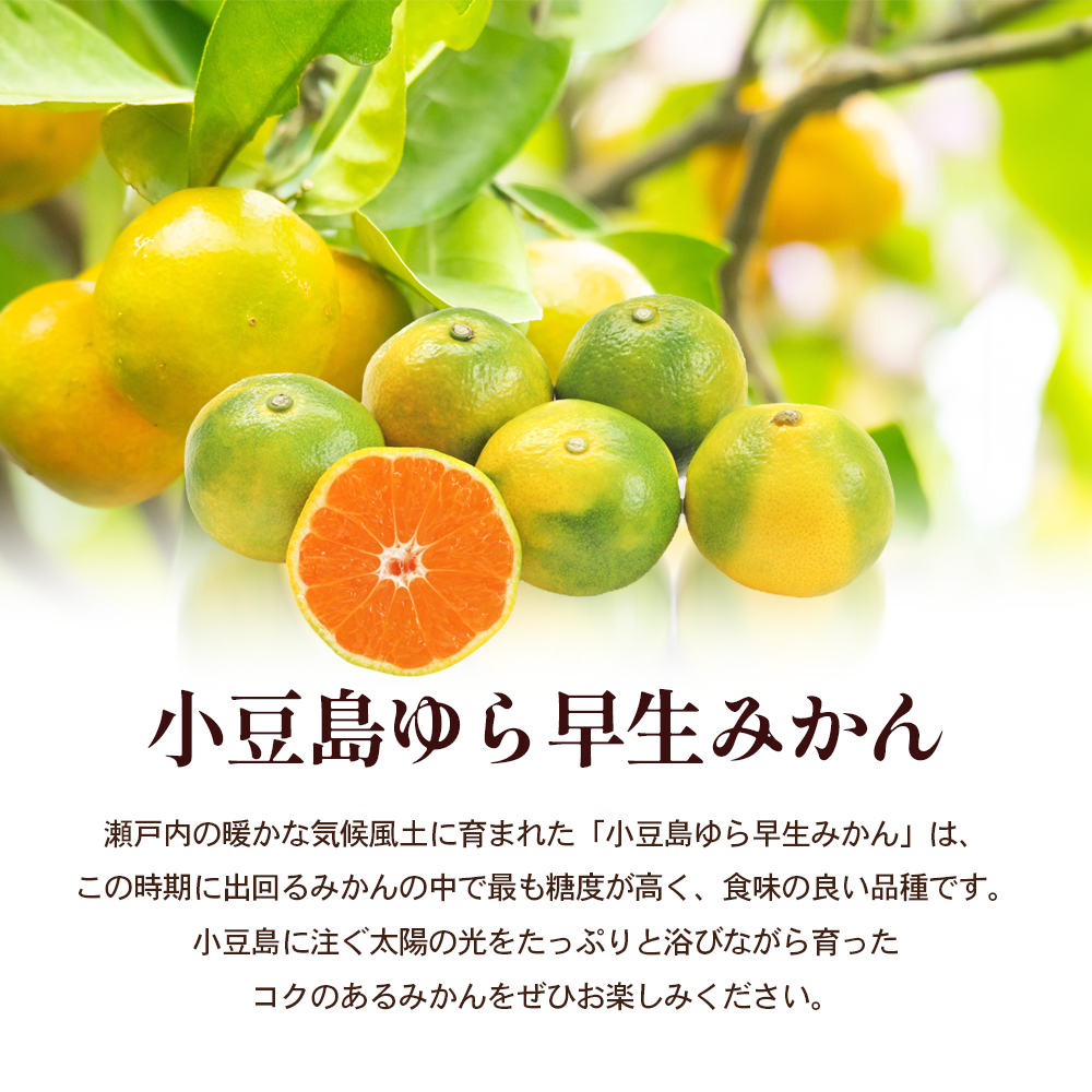 【 小豆島 】小豆島 ゆら早生みかん 約3kg 柑橘 みかん ミカン 果物 フルーツ ゆら早生 ジューシー くだもの 国産 香川 香川県 土庄 土庄町