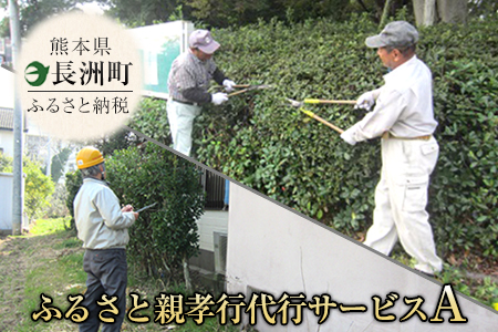 熊本県 長洲町ふるさと親孝行代行サービスA---sn_silvercenter_r8_5500_a---