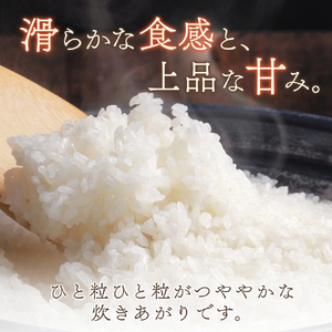 令和6年度産 きぬひかり10kg ※お届け日指定不可※ / 白米 お米 キヌヒカリ 由良町 精米 和歌山【jahd009】