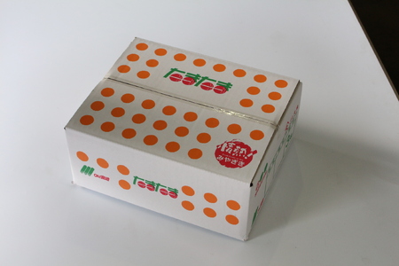 AA-C1 串間市産の完熟きんかん「たまたま」(2L・計3kg)【串間市大束農業協同組合】