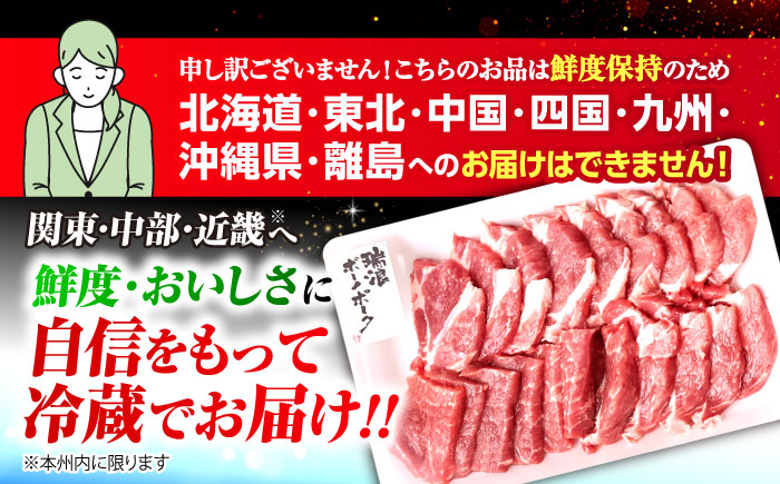 【3回定期便】 ※冷蔵配送/地域限定※ 飛騨牛 ボーノポーク 焼肉セット 合計1kg 瑞浪市 / きなぁた瑞浪 和牛 国産 岐阜県産 [AZCI095]
