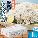 【ふるさと納税】【冷蔵】天然しらす干し1kg　おすそ分けに人気【配送不可地域：離島】【1386282】