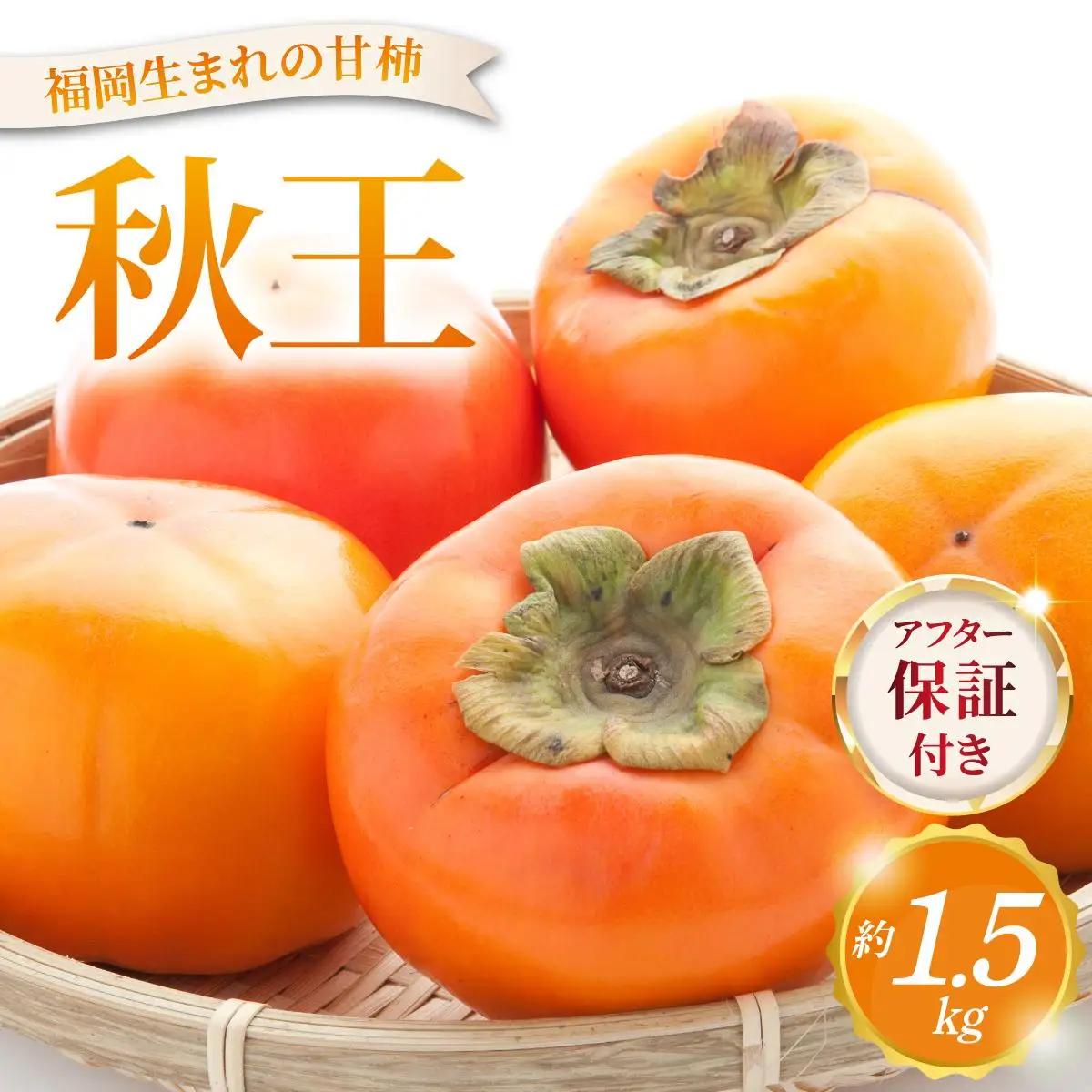福岡より直送！種がほとんどない新ブランド 柿 秋王 約1.5kg 化粧箱入（2026年10月以降発送）