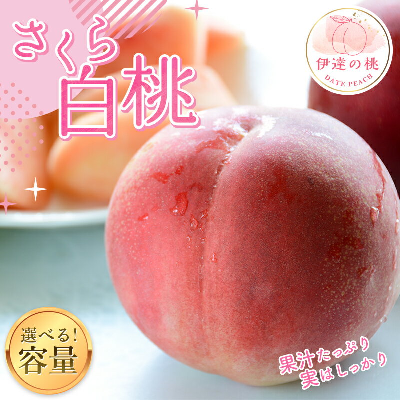 【ふるさと納税】2025年出荷分 先行予約 福島の桃 さくら白桃 2kg〜5kg 【あかい果樹園】 先行予約 フルーツ 果物 固め もも モモ momo F20C-911var