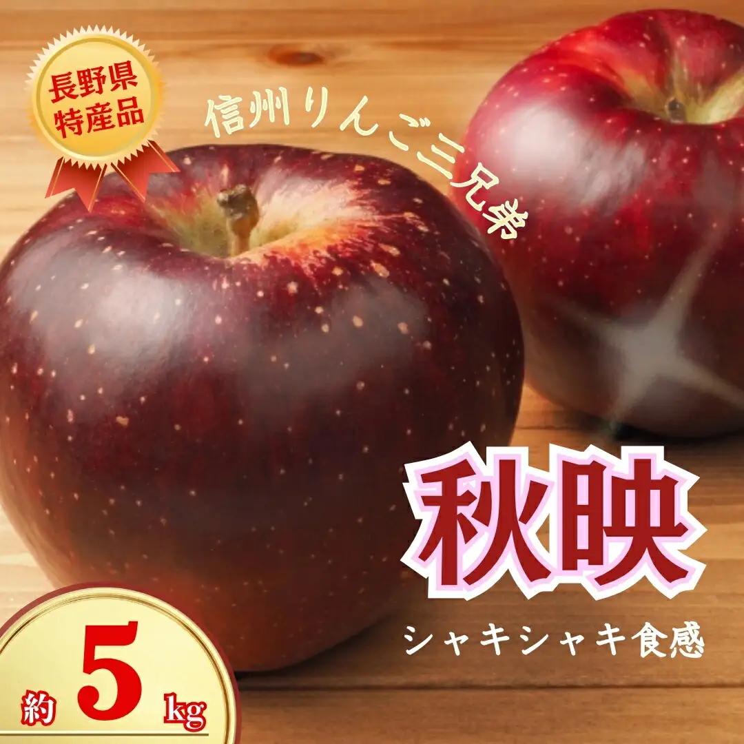【2026年先行予約】秋映 約5kg｜ りんご