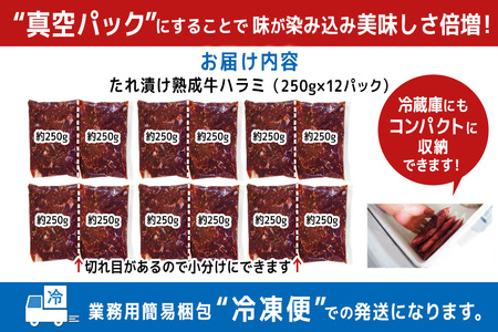 熟成牛ハラミ 3kg (250g×12パック) たれ 味付 小分け 冷凍 焼肉 焼き肉 牛 牛肉 ビーフ ハラミ BBQ 【そうざい男しゃく（株式会社池延）】【ho1470】