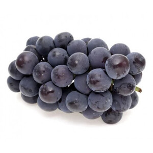 ピオーネ 700g × 1房 ＜2026年8月より順次発送＞ (県内共通返礼品:かすみがうら市産) 先行予約 ぶどう ブドウ 葡萄 フルーツ 茨城 新鮮 (BR178)