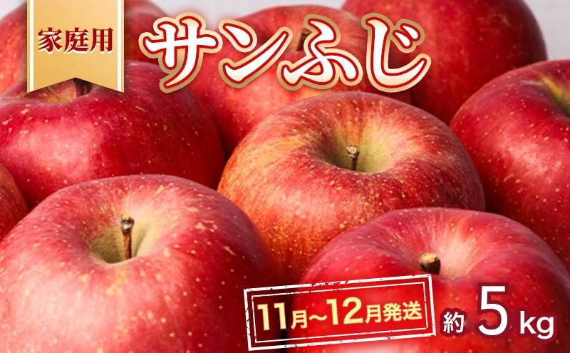 
【11月～12月発送】高谷農園 家庭用 サンふじ 約 5kg 【弘前市産・青森りんご】
