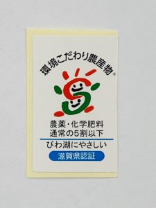 【新米】【令和7年産】環境こだわり米「みずかがみ」白米【5kg×1袋】【K124U1】
