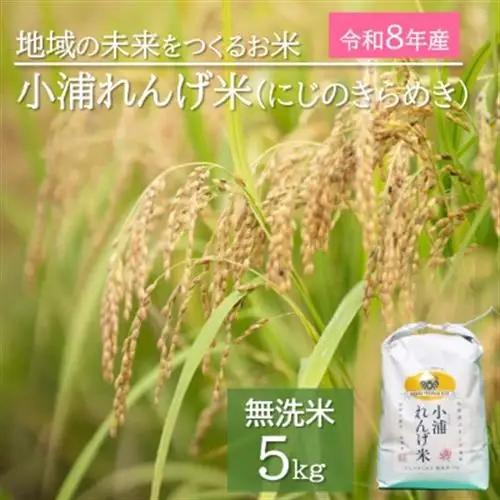令和8年産(2026年産) 新米!小浦れんげ米(にじのきらめき)【無洗米】 5kg【1680206】