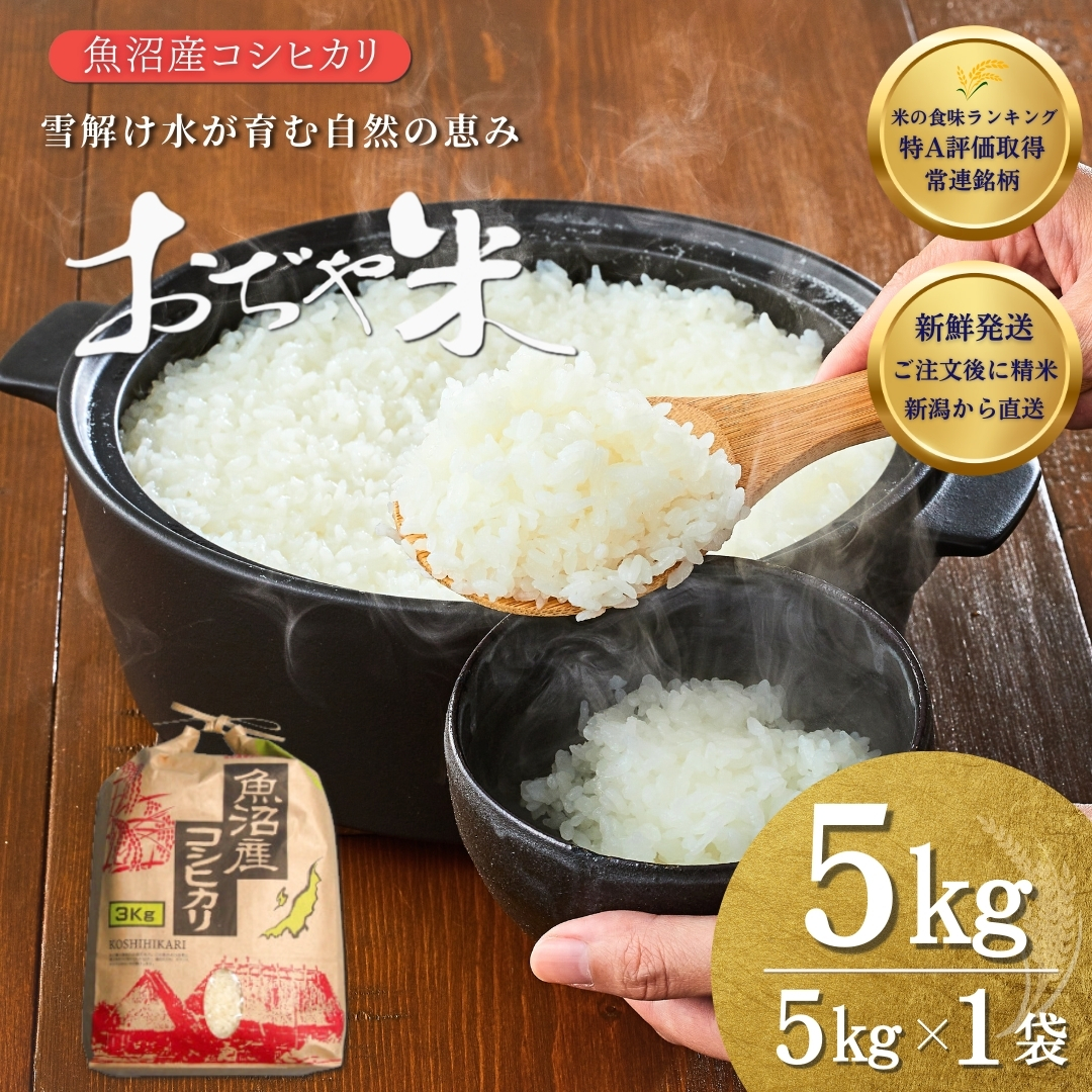 令和7年産 魚沼産コシヒカリ「おぢや米」 計5kg（5kg×1袋）クラフト袋【0002-JA03-03】