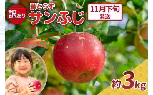 【2025年11月下旬発送】りんご 3kg 程度 葉とらず サンふじ 11月 12月 訳あり 青森産 りんご ふじ 【 サンふじりんご 葉とらずりんご リンゴジュースやお菓子作りにも くだものフルーツ果物林檎約3kg 】