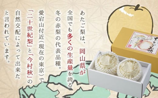あたご梨 2玉 約1.8kg 【2025年11月下旬～12月下旬迄発送予定】 愛宕梨 梨 なし 和梨 果物 果実 フルーツ 大玉 岡山県 美咲町 常温