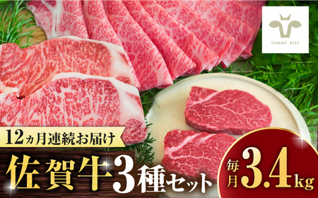 【全12回定期便】佐賀牛 すき焼き用とサーロインステーキとヒレステーキ食べ比べ 計40.8kg / ブランド牛 定期便 佐賀牛 すき焼き すきやき サーロイン ヒレ ステーキ / 佐賀県 / 有限会社佐賀セントラル牧場 [41ASAA283]