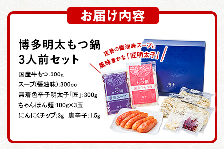 博多明太もつ鍋 3人前セット ギフト《30日以内に出荷予定(土日祝除く)》