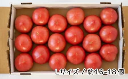 トマト 桃太郎はるか Lサイズ (約16個～18個) 計約4kg | トマト 加藤義明とまと農園