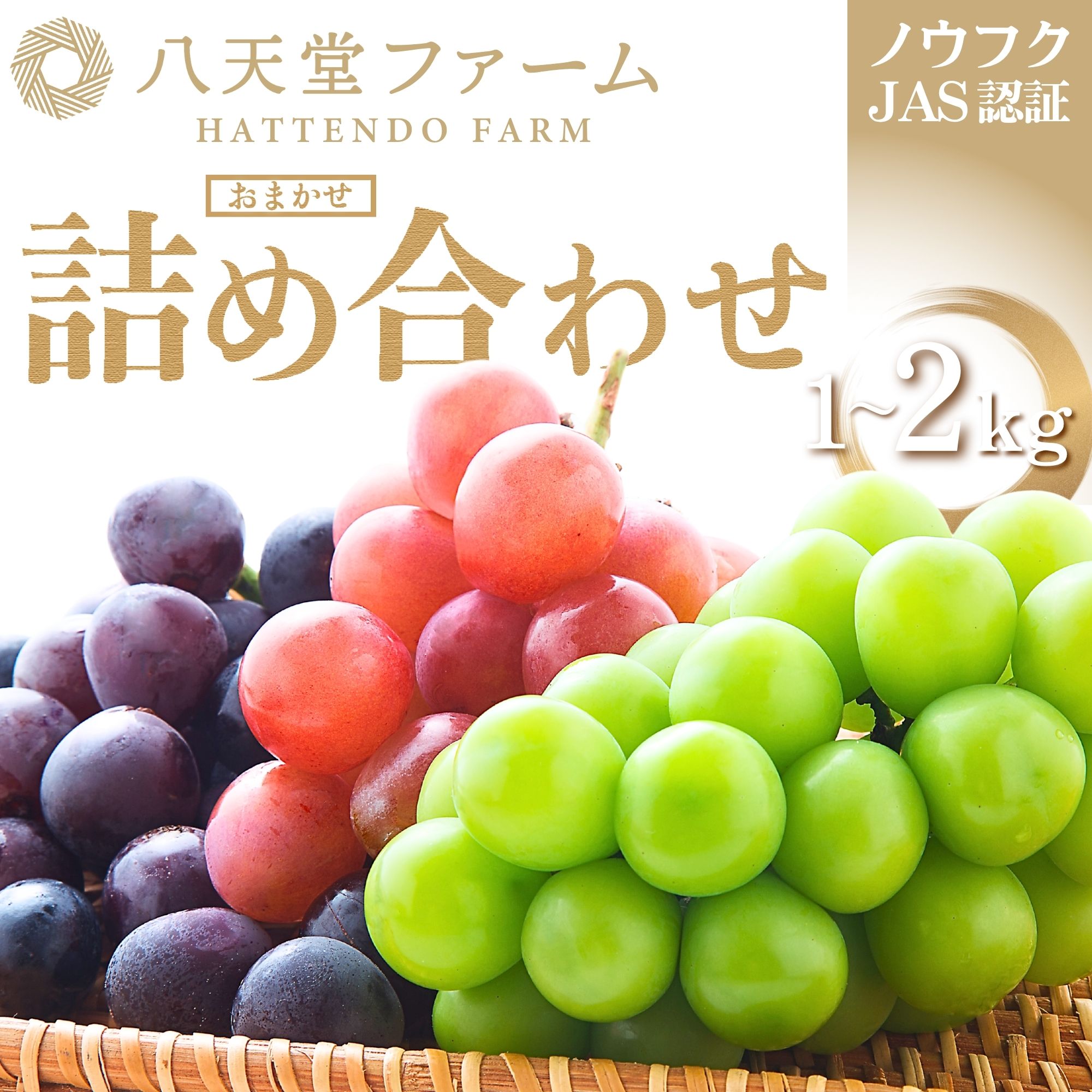 【ふるさと納税】八天堂ぶどう園 おまかせ詰め合わせ 家庭用 1〜2kg ノウフクJAS認証【ぶどう フルーツ シャインマスカット 瀬戸ジャイアンツ ピオーネ 藤稔 ゴルビー ブラックビート グロスクローネ 長野パープル クインニーナ】※2026年8月中旬頃～9月下旬頃に順次発送予定