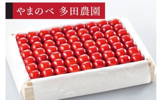 ＜先行予約＞【特選やまがた紅王】桐箱詰 約1,100g【やまのべ多田耕太郎のさくらんぼ 多田農園】