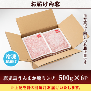 s582-A 【毎月・定期便3回】鹿児島うんまか豚ミンチ(計9kg・500g×6P×3回)鹿児島 国産 豚肉 挽肉 豚ひき肉 ミンチ 冷凍 定期便 毎月 連続月【肉の寺師】