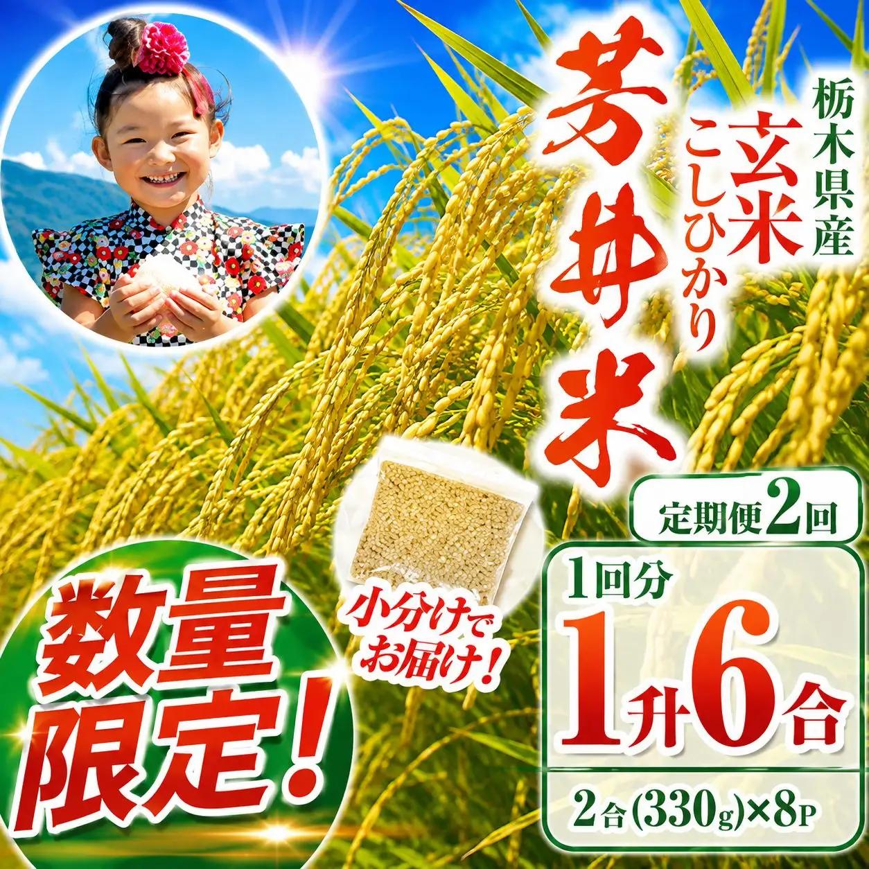 【ふるなび限定】【定期2回】【数量限定】【令和8年度産】那珂川町産芳井米 玄米 330g（2合分）×8 | こしひかり 米 ごはん  ふっくら もちもち  ふるさと納税 那珂川町 栃木県